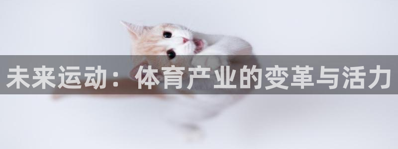 沐鸣2体育凯捷平台注册：未来运动：体育产业的变革与活力