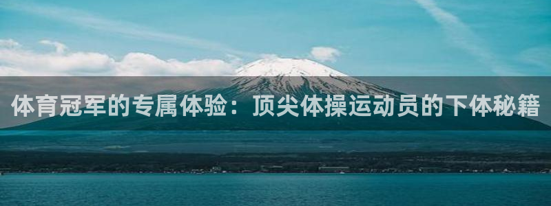 对峙2下载免登录：体育冠军的专属体验：顶尖体操运动员的下体秘籍