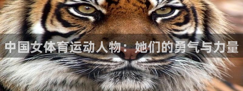 沐鸣2手机网页版：中国女体育运动人物：她们的勇气与力量