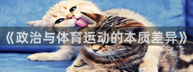 沐鸣娱乐注册：《政治与体育运动的本质差异》
