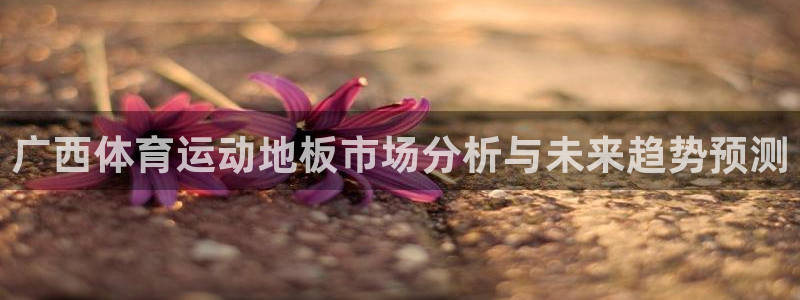 沐鸣注册：广西体育运动地板市场分析与未来趋势预测