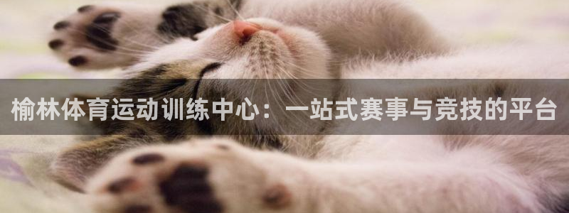 沐鸣娱乐注册：榆林体育运动训练中心：一站式赛事与竞技的平台