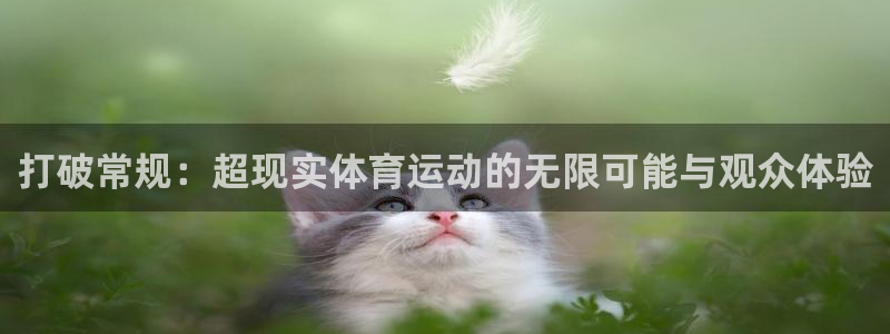 沐鸣2体育网页版入口：打破常规：超现实体育运动的无限可能与观众体验