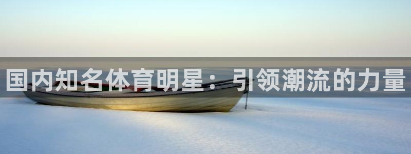 沐鸣2平台注册：国内知名体育明星：引领潮流的力量