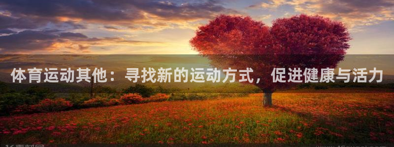 沐鸣2官网：体育运动其他：寻找新的运动方式，促进健康与活力