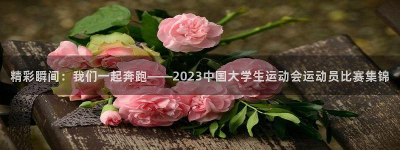 沐鸣2集团股票：精彩瞬间：我们一起奔跑——2023中国大学生运动会运动员比赛集锦